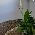 Monte Da Ti Luzia * 法鲁区