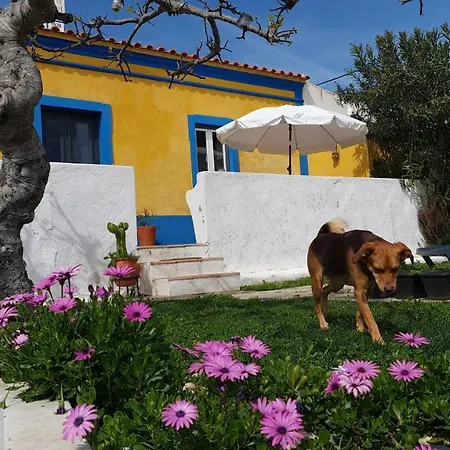 Monte Da Ti Luzia Holiday home