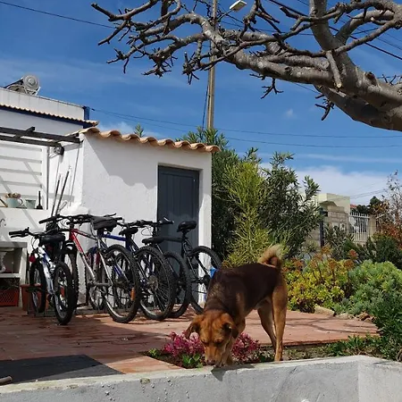 Monte Da Ti Luzia Prázdninový dům