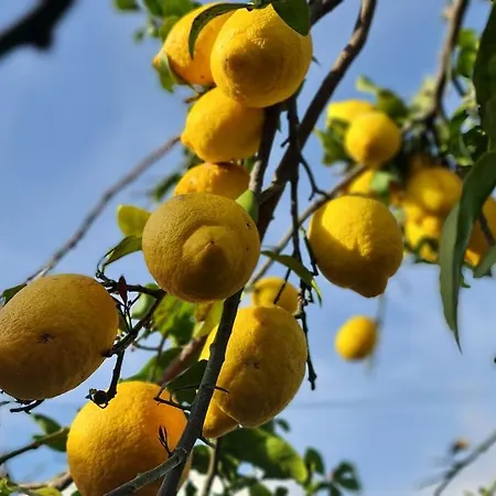 Сasa de vacaciones Monte Da Ti Luzia Distrito de Faro