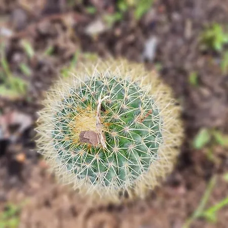 Monte Da Ti Luzia Prázdninový dům Faro