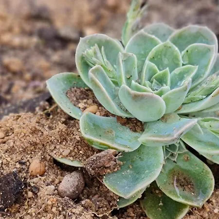 Monte Da Ti Luzia Prázdninový dům Faro