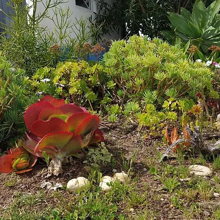 Monte Da Ti Luzia Prázdninový dům