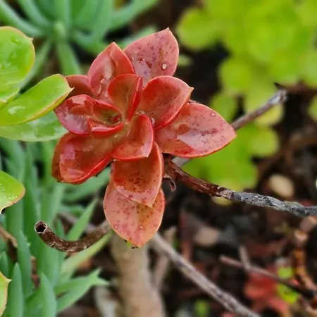 Prázdninový dům Monte Da Ti Luzia