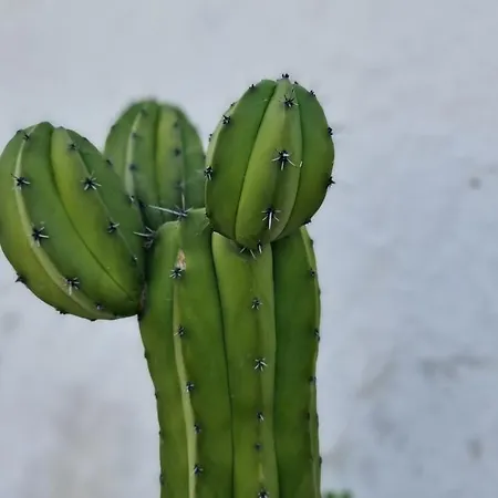 Prázdninový dům Monte Da Ti Luzia *