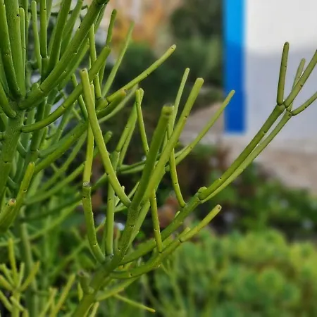 Monte Da Ti Luzia Сasa de vacaciones Distrito de Faro