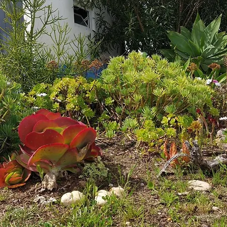Casa vacanze Monte Da Ti Luzia Distretto di Faro